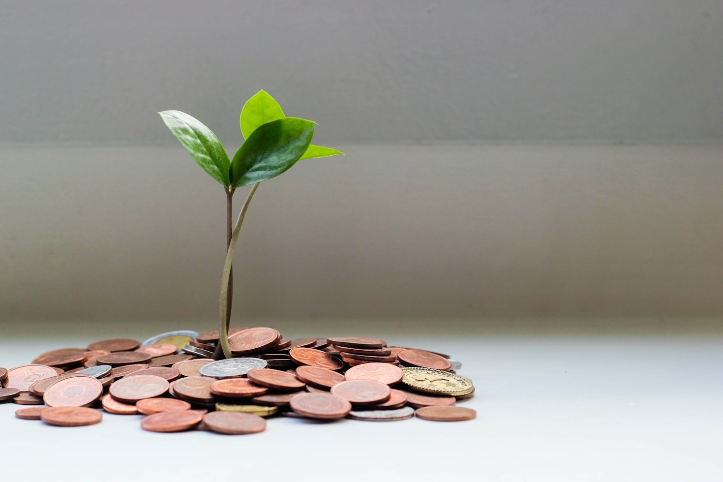 Min rejse med Industriens Pension